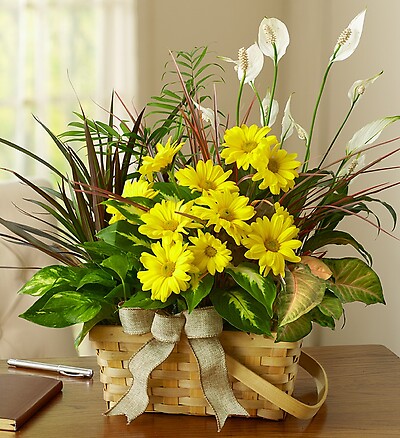 Dish Garden with Fresh Cut Flowers